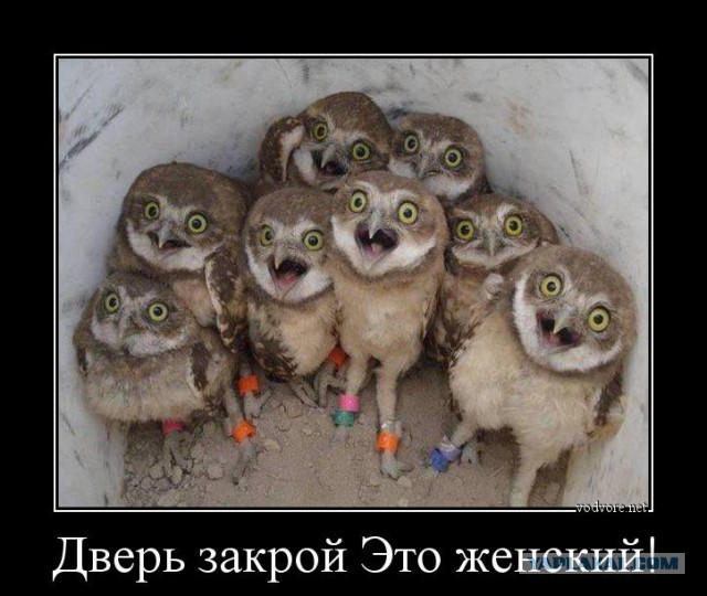 Демотиваторы на субботу