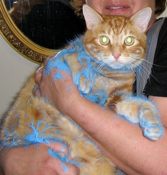 Подборка красивых фото