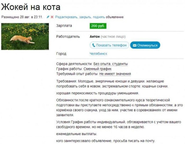 Ужасы и приколы из соцсетей 18+