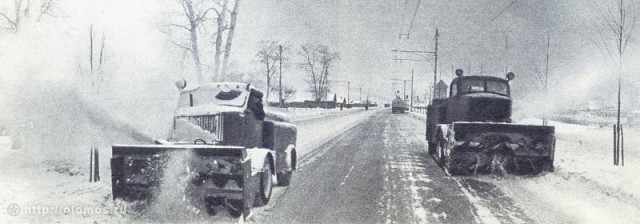 О случайно выживших мужчинах