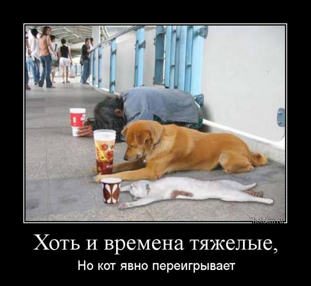 Да они там все наркоманы!