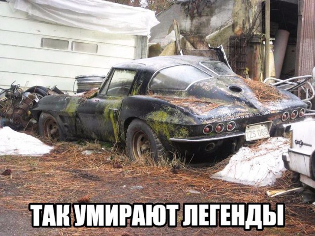 Очередная порция перлов