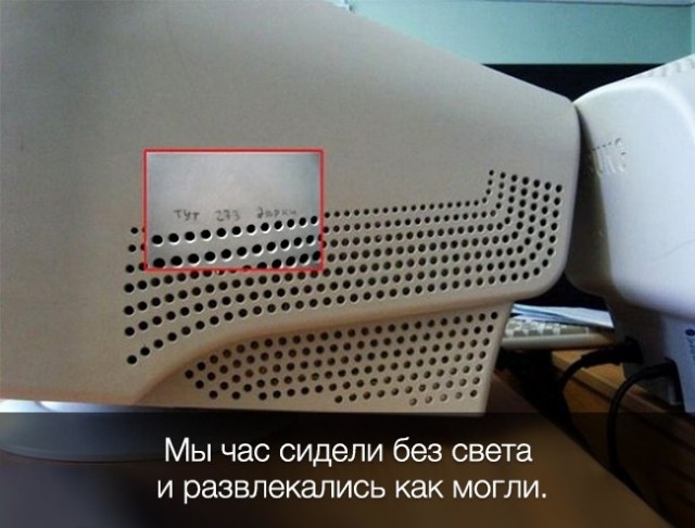 20 доказательств, что работа не волк, в лес не убежит