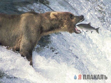 Когда одна секунда имеет значение