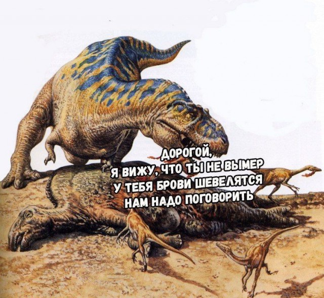 Нестандартный юмор