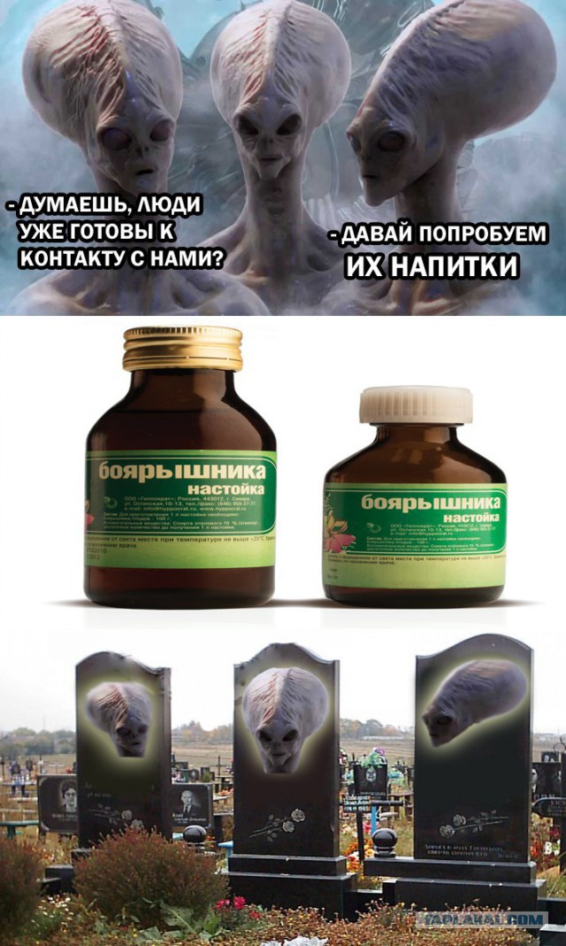 Первая пресс-конференция с представителем прародителей человечества?