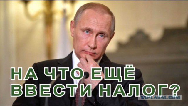 Новый глава Минприроды предложил тратить на экологию средства россиян