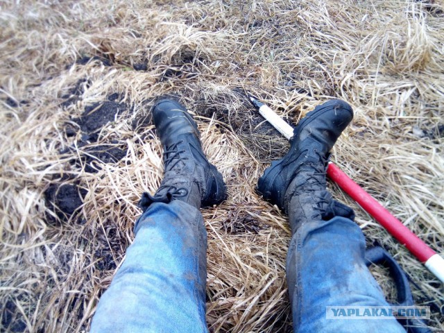 Командировка. В леса