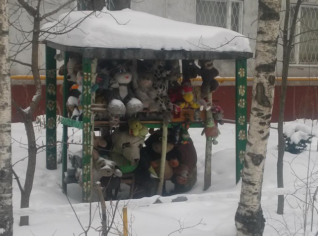 Смотрим картинки и развлекаемся