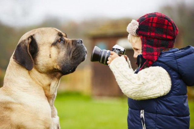 Пособие для начинающих фотографов