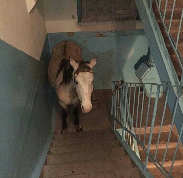 WTF: что тут происходит?