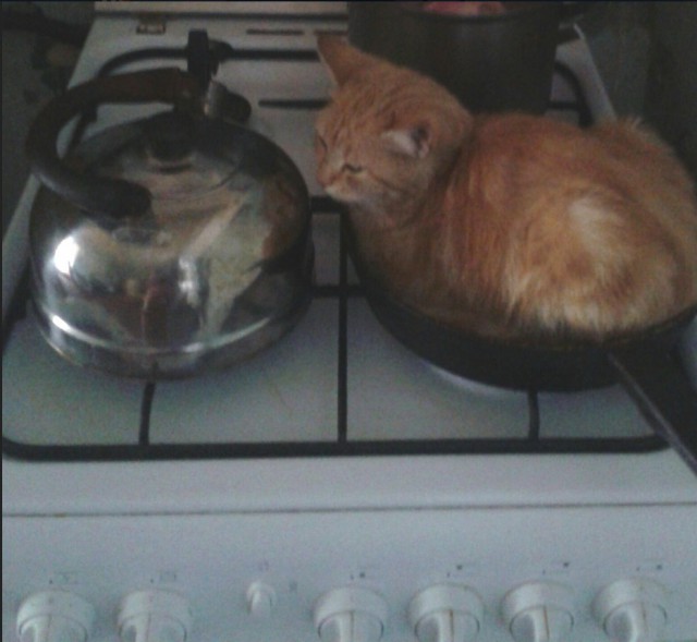 Немного милоты