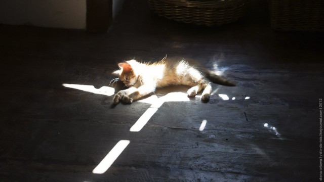 Один мой день. Самый первый!