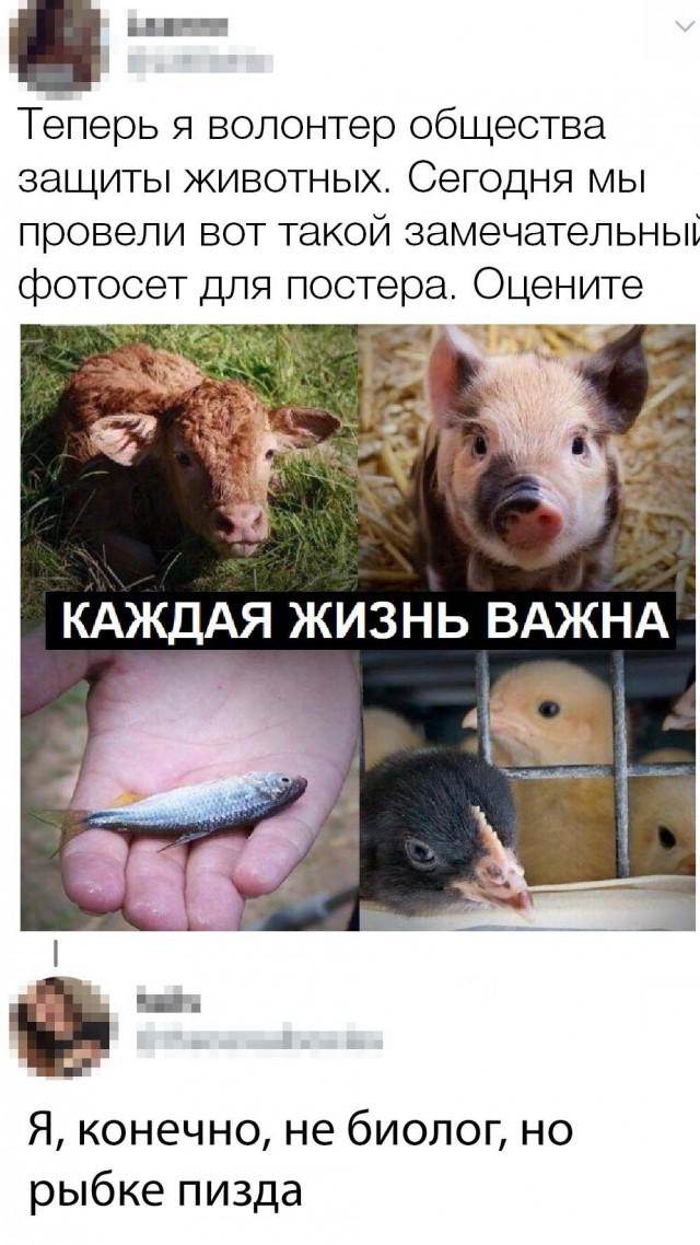 Нестандартный юмор