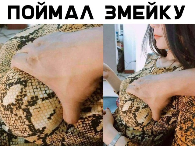 Нестандартный юмор