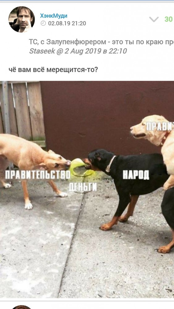 Мундрые мыслишки