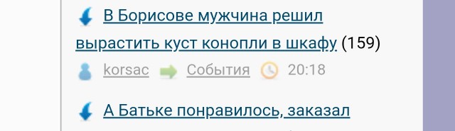 В Борисове мужчина решил вырастить куст конопли в шкафу