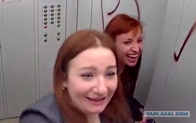 Две пьяные курицы