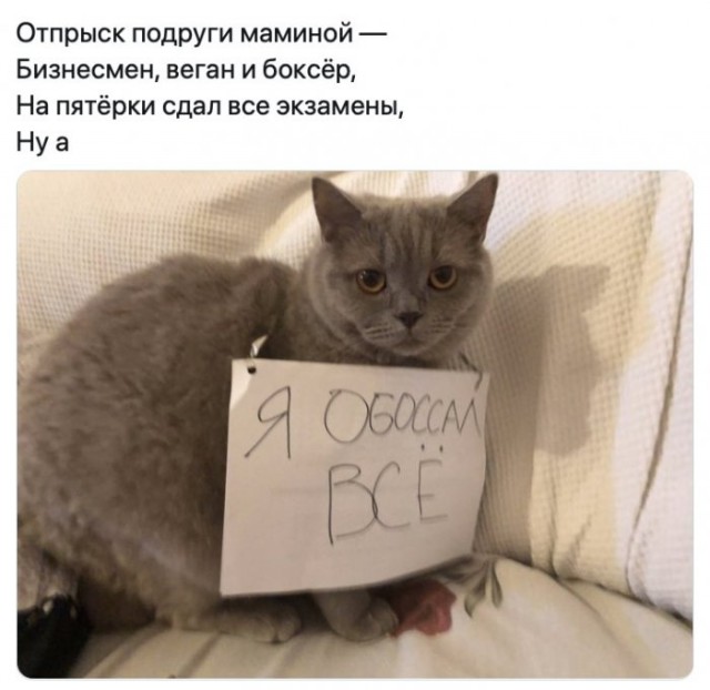 Немного картинок для настроения 01.04.20