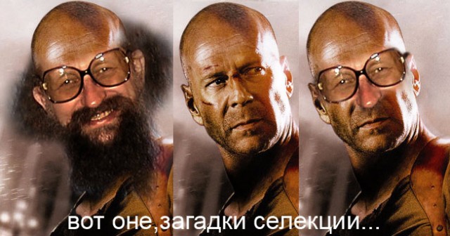 Фотожаба: Онотоле