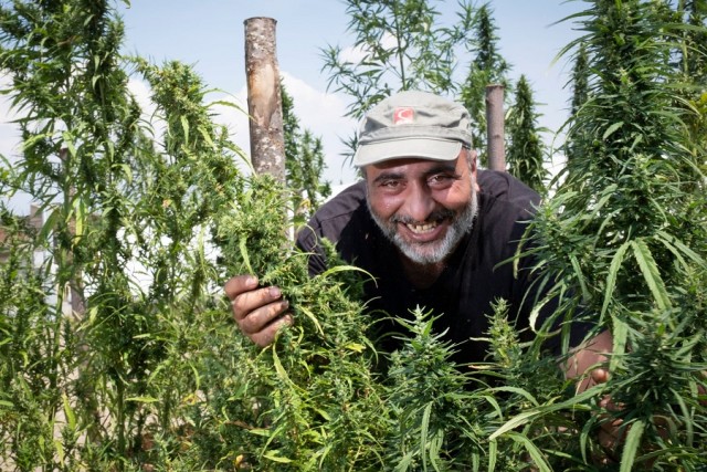 20 снимков «с запахами», которые можно почувствовать сквозь монитор