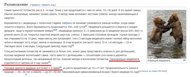 Якутянин Иван Кириллин, убивший напавшего на него медведя ножом: «До сих пор сердце колотится»