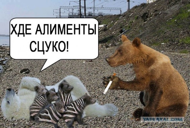 Маша-а-а!Аууууу!