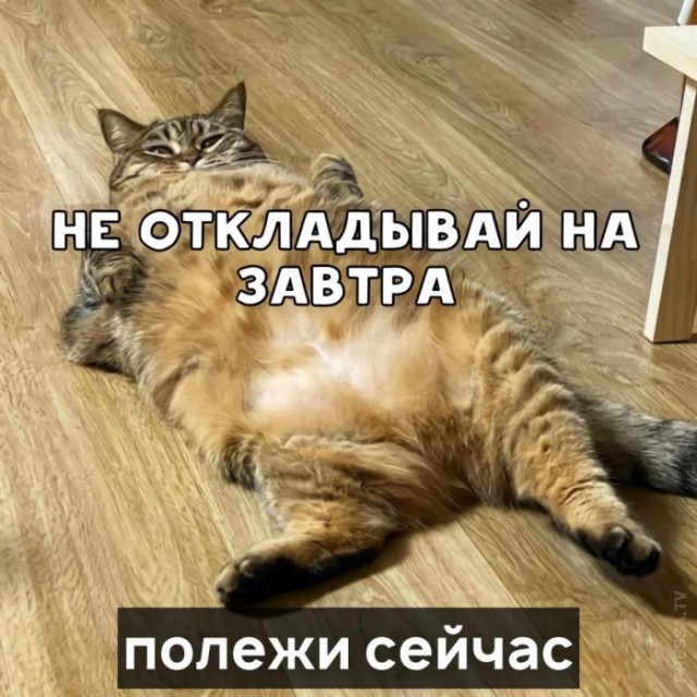 Картинки и мемы для настроения 008