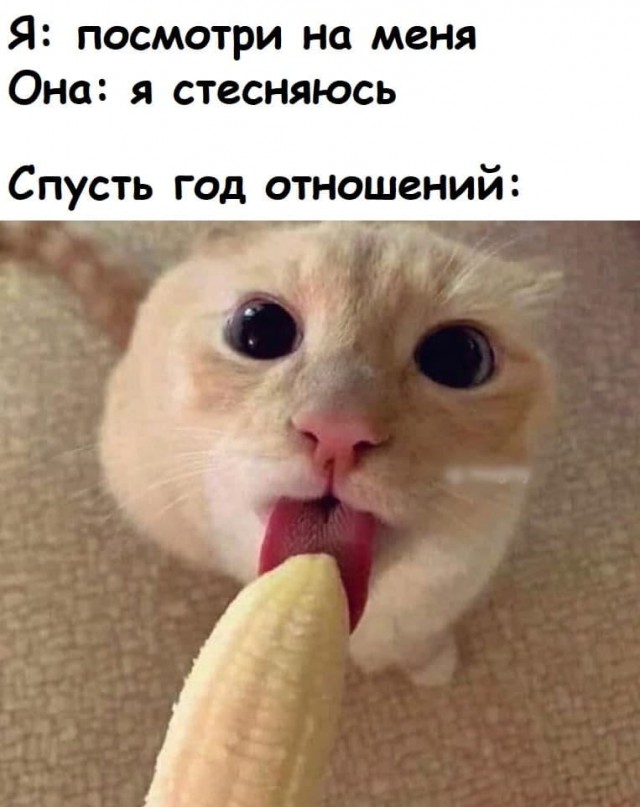 Боянистые и не очень картиночки с тупым йумором