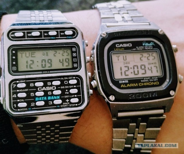 Casio "признание в любви"