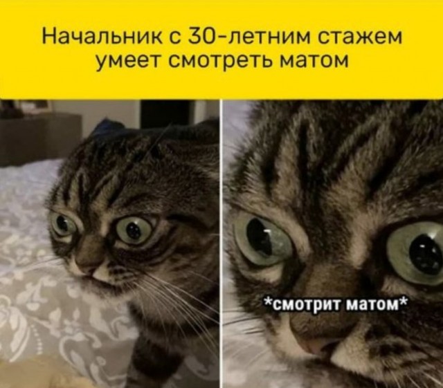 Так себе картинки 31.07.21