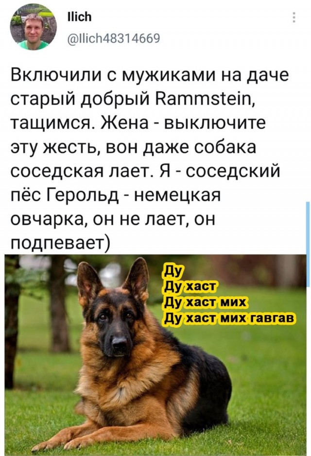Юмор и прикольные картинки