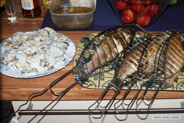 Пятничные посиделки на теплотрассе ©