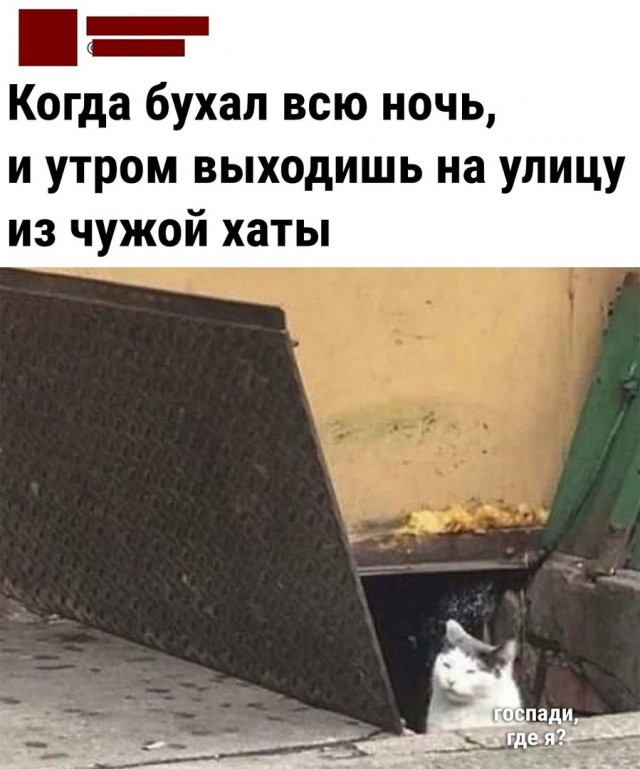 Так себе картинки 11.09.21
