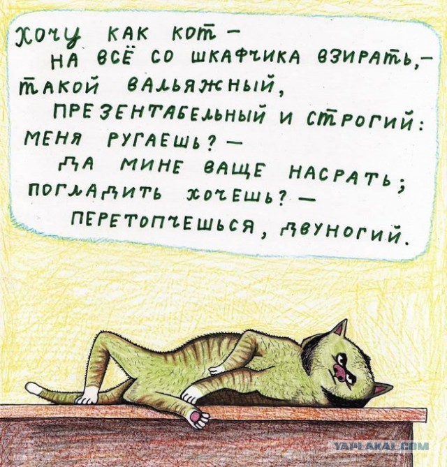 Забавные шутки, картинки и фразы из этих ваших интернетов 27.10.2021