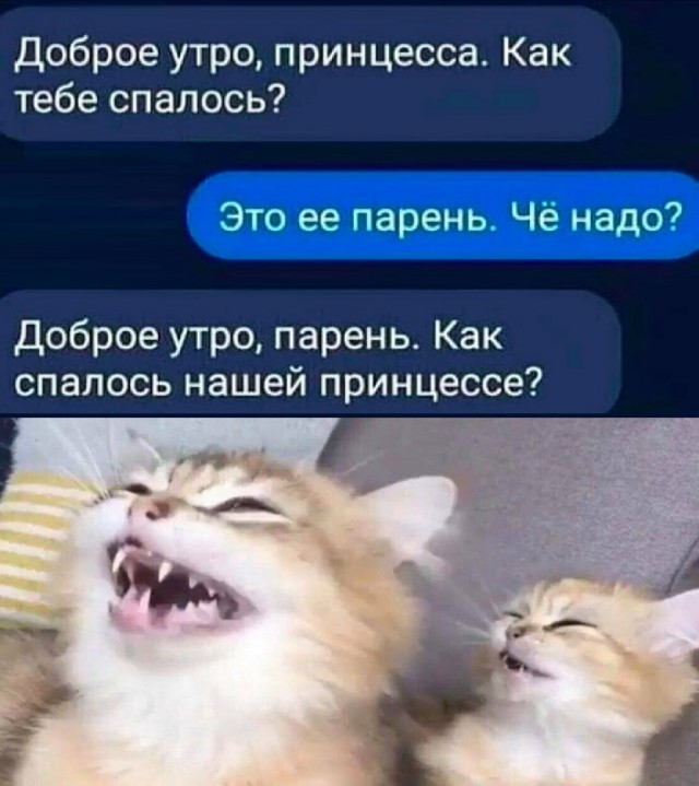 Так себе картинки 15.04.22