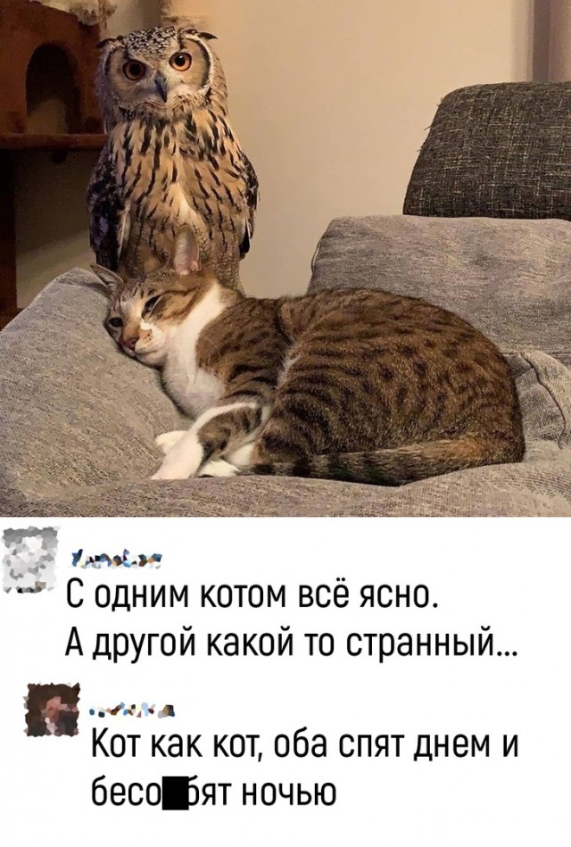 Так себе картинки 23.04.22