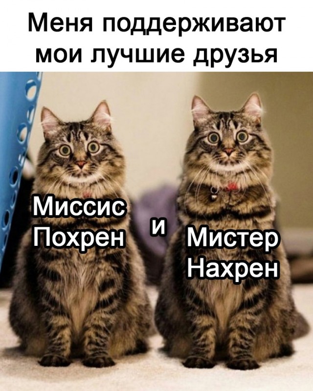 Так себе картинки 29.05.22