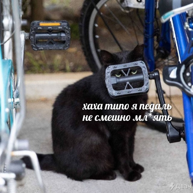 Картинки и мемы для настроения - 19