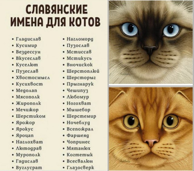Приехал с работы домой, а тут...вот