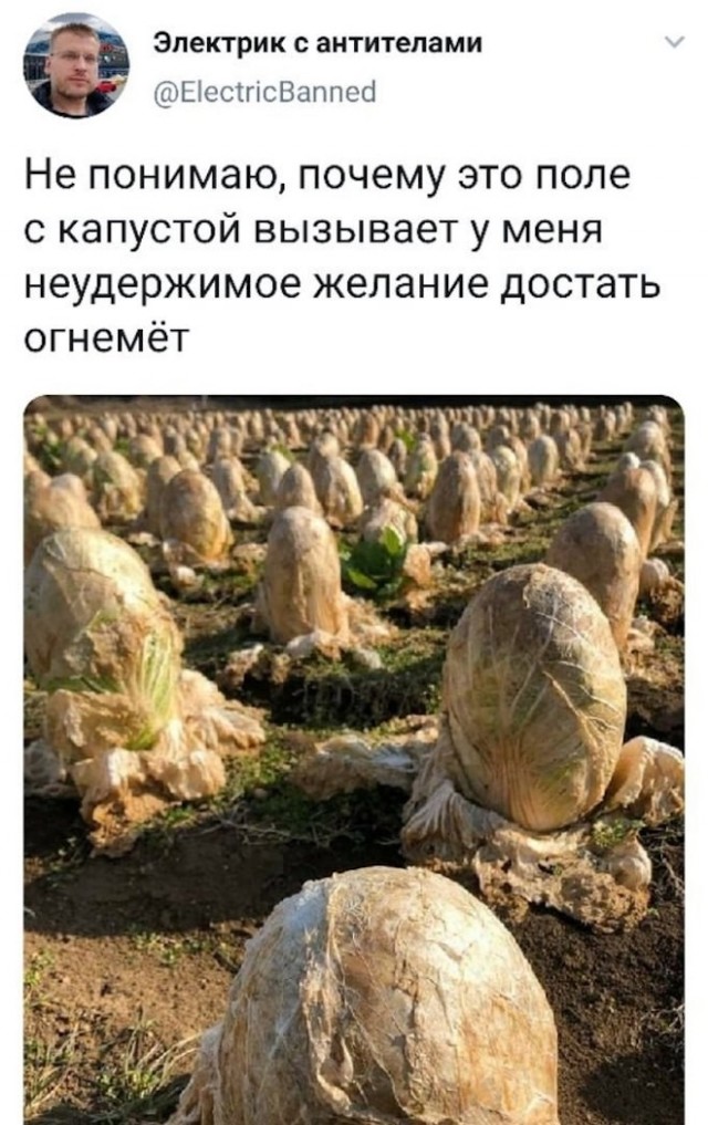 Немного картинок для настроения - 114