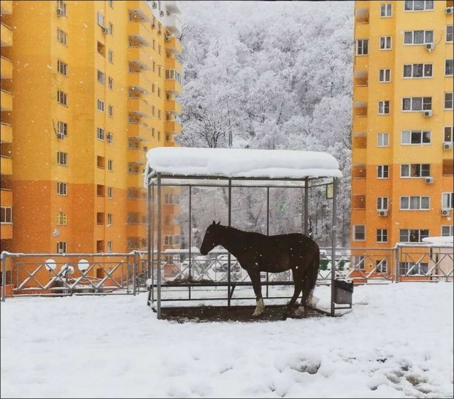 Прикольные и просто красивые картинки 13.10.2022