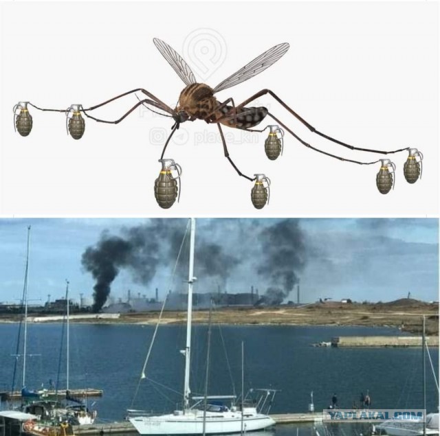Беспилотники атаковали акваторию Севастопольской бухты