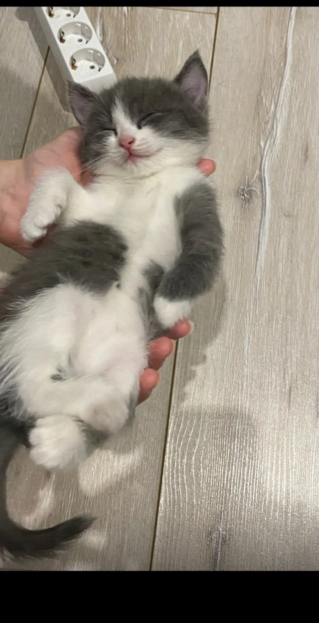 Как моя жена на работу пошла