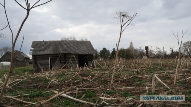 Затерянная русская деревня в 400 км от Москвы. Как выживают люди посреди лесов
