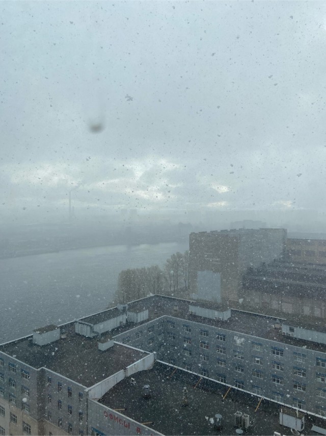 5 мая в Питере