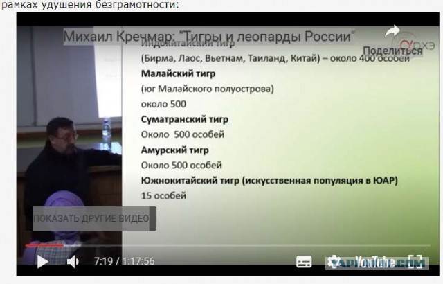 «Доживем до момента, когда в лес будет не выйти»: тигр загрыз пенсионера