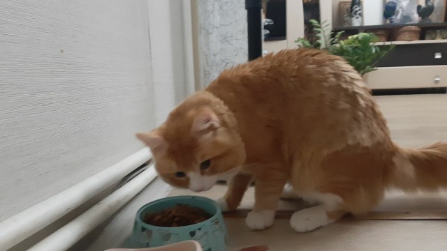 Очередной звиздец