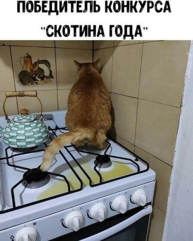 Никакие картинки