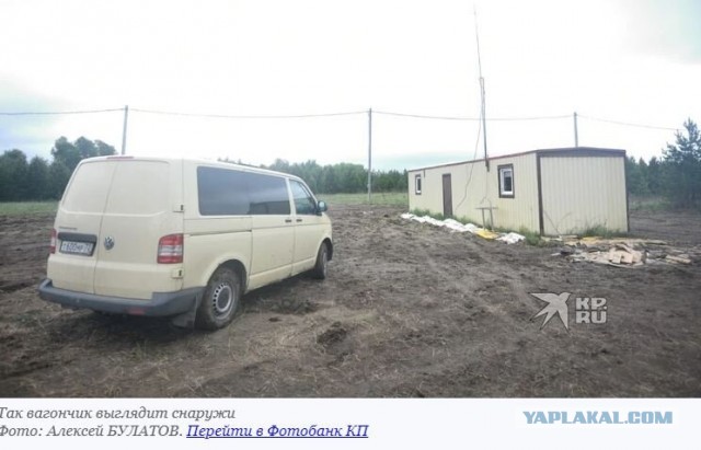 В Свердловской области дед потерял двоих внуков в лесу и пришел домой